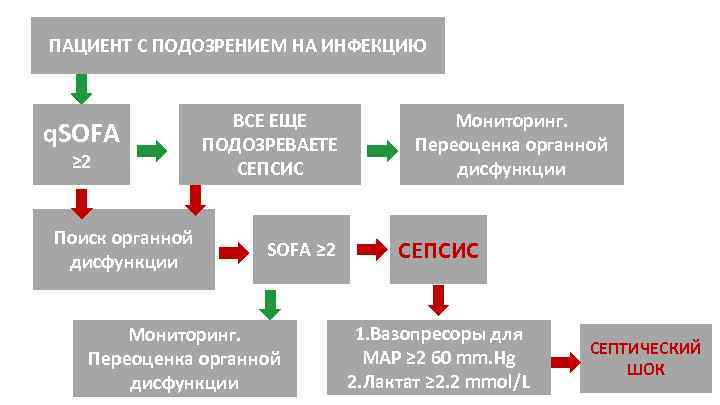 ПАЦИЕНТ С ПОДОЗРЕНИЕМ НА ИНФЕКЦИЮ q. SOFA ≥ 2 Поиск органной дисфункции ВСЕ ЕЩЕ