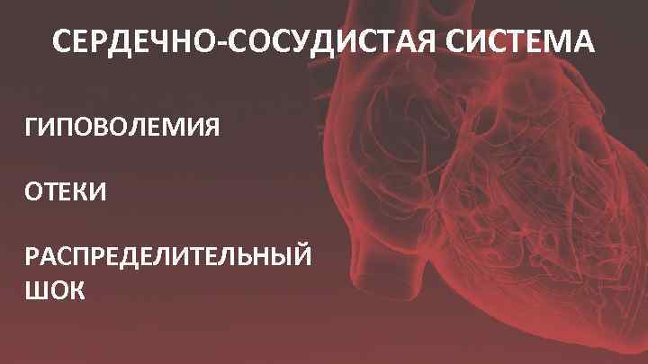 СЕРДЕЧНО-СОСУДИСТАЯ СИСТЕМА ГИПОВОЛЕМИЯ ОТЕКИ РАСПРЕДЕЛИТЕЛЬНЫЙ ШОК 