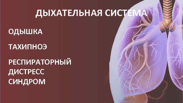 ДЫХАТЕЛЬНАЯ СИСТЕМА ОДЫШКА ТАХИПНОЭ РЕСПИРАТОРНЫЙ ДИСТРЕСС СИНДРОМ 