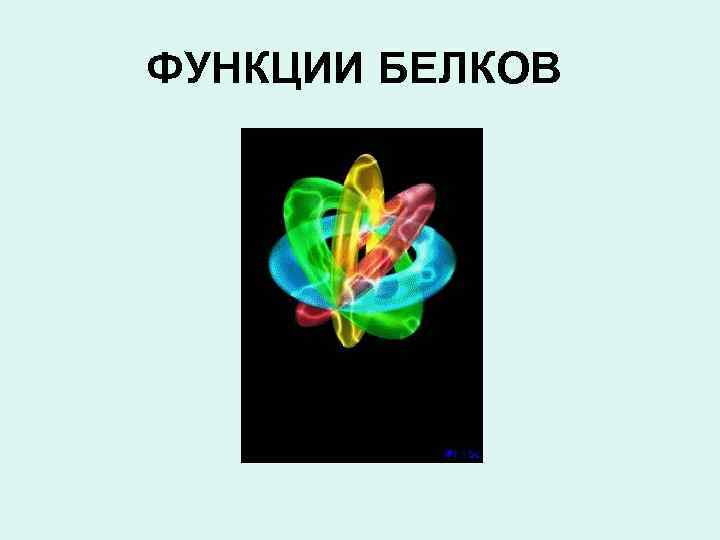 ФУНКЦИИ БЕЛКОВ 