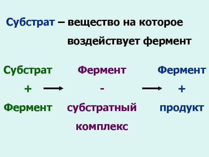 Субстрат – вещество на которое воздействует фермент Субстрат Фермент + - + Фермент субстратный