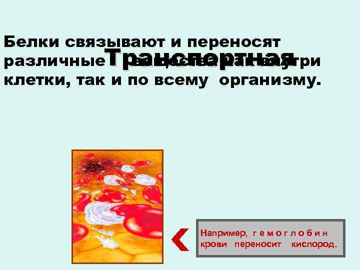 Белки связывают и переносят различные. Транспортная вещества как внутри клетки, так и по всему
