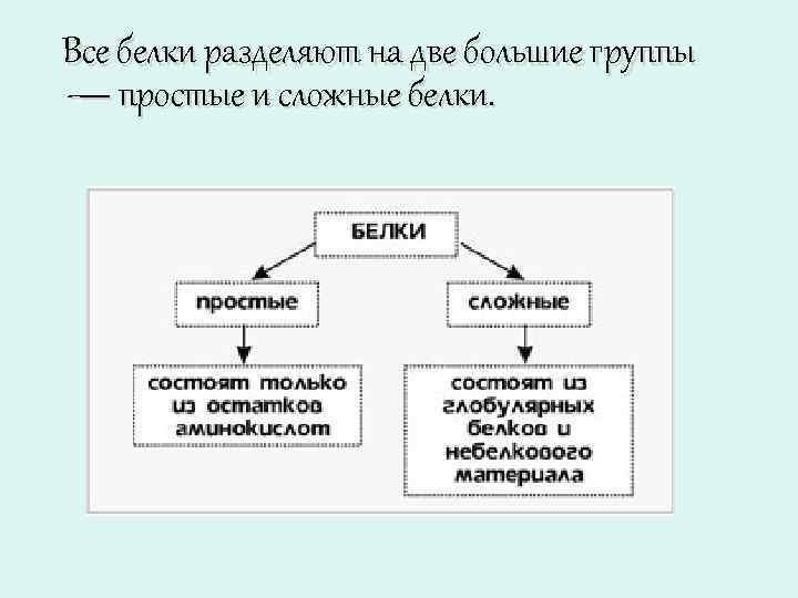 Все белки разделяют на две большие группы — простые и сложные белки. 