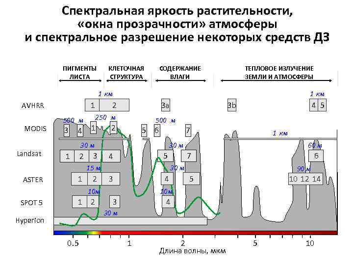 Спектральная яркость растительности, «окна прозрачности» атмосферы и спектральное разрешение некоторых средств ДЗ ПИГМЕНТЫ ЛИСТА