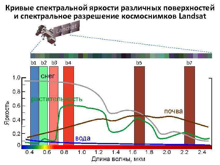 Спектральная способность. Кривой спектральной отражательной способности.. Спектральное разрешение. Кривые спектральной яркости. Спектральная яркость объектов.