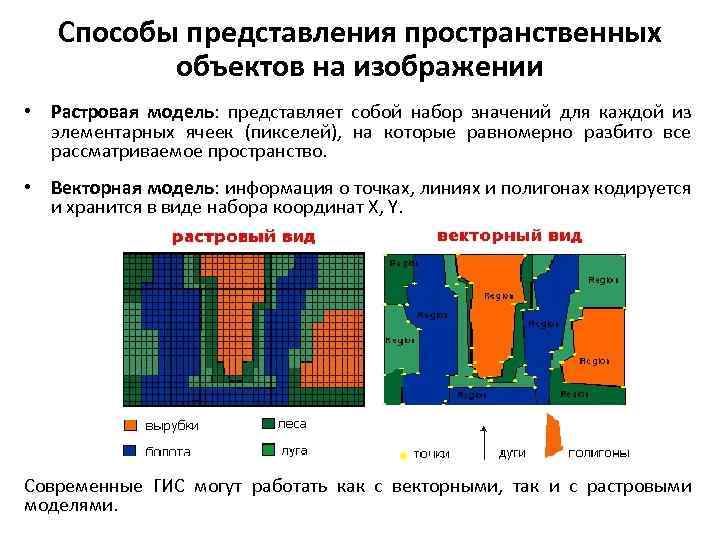 Почему в дизайне используются и векторная модель цифрового изображения и растровая модель