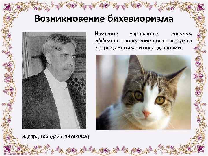 Возникновение бихевиоризма Научение управляется законом эффекта - поведение контролируется его результатами и последствиями. Эдвард