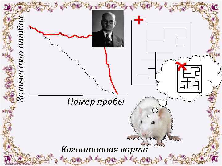 Количество ошибок + Номер пробы Когнитивная карта 