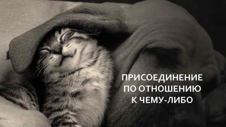 ПРИСОЕДИНЕНИЕ ПО ОТНОШЕНИЮ К ЧЕМУ-ЛИБО 