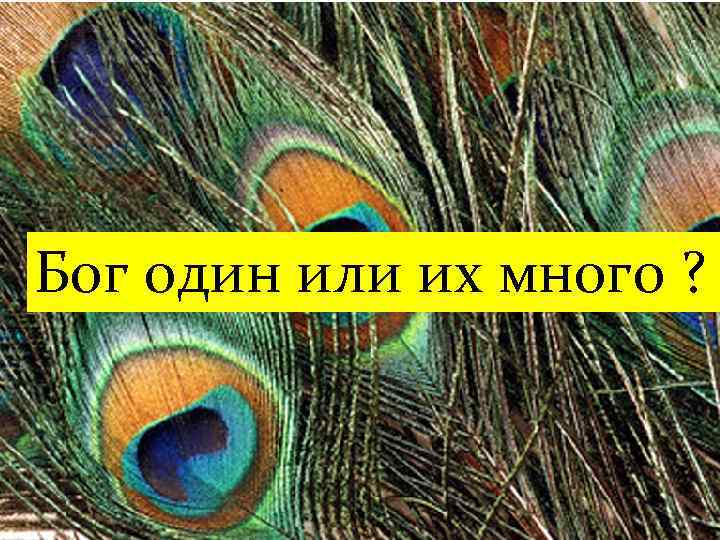 Бог один или их много ? 