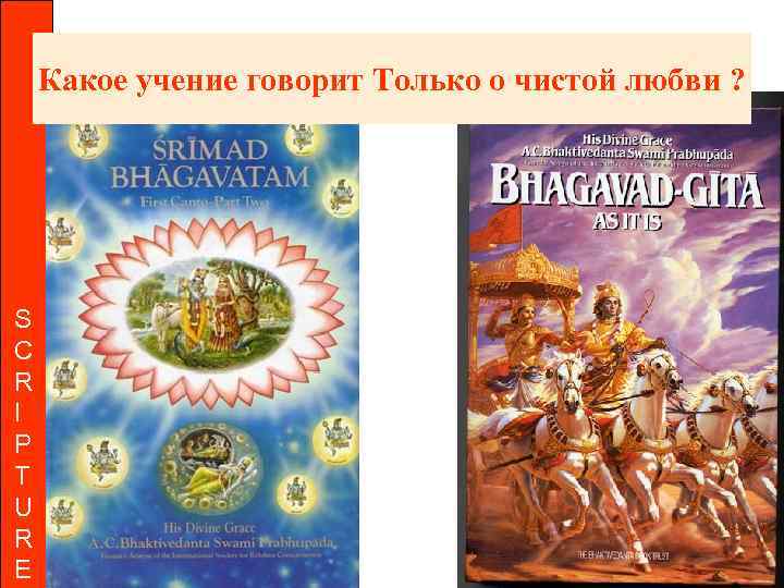 Какое учение говорит Только о чистой любви ? S C R I P T