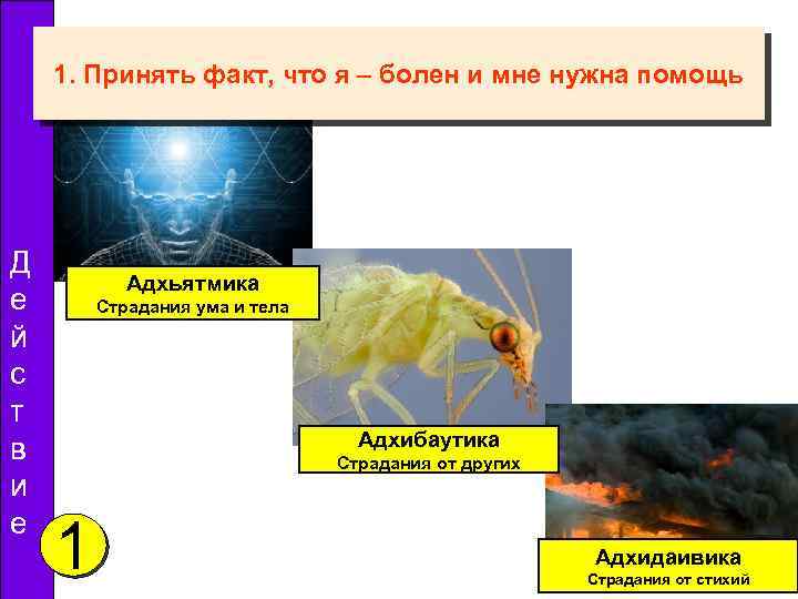 1. Принять факт, что я – болен и мне нужна помощь Д е й