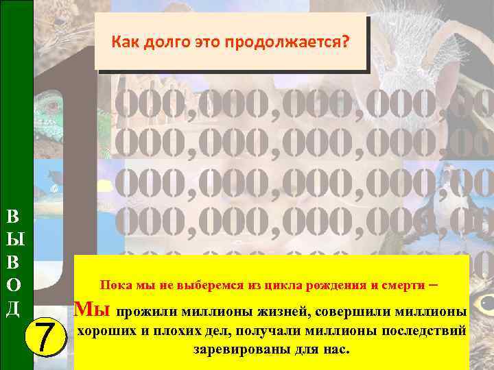 Как долго это продолжается? В Ы В О Д Пока мы не выберемся из