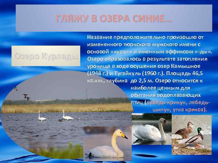 ГЛЯЖУ В ОЗЕРА СИНИЕ… Озеро Курлады Название предположительно произошло от измененного тюркского мужского имени