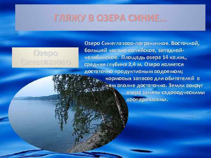 ГЛЯЖУ В ОЗЕРА СИНИЕ… Озеро Синеглазово-пограничное. Восточной, большей частью-копейское, западнойчелябинское. Площадь озера 14 кв.