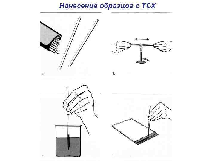 На хроматографическую пластинку образцы наносят