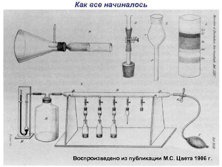 Как все начиналось Воспроизведено из публикации М. С. Цвета 1906 г. 