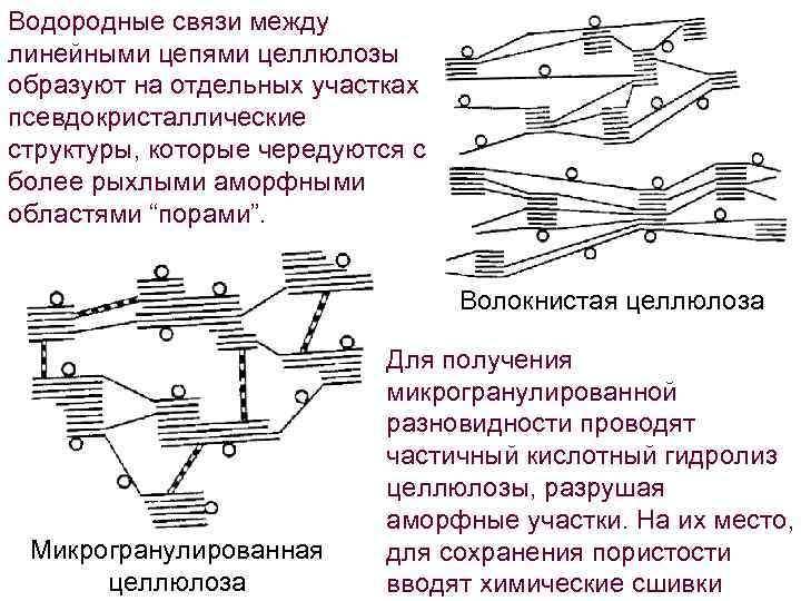 Водородные связи между линейными цепями целлюлозы образуют на отдельных участках псевдокристаллические структуры, которые чередуются