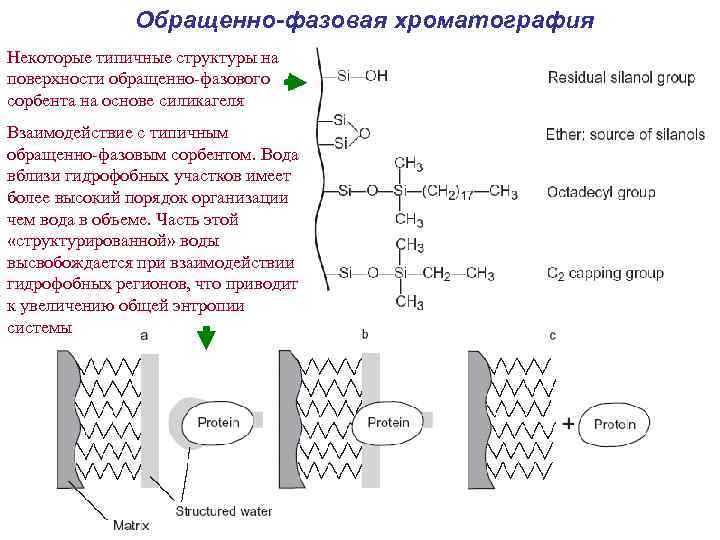 Обращенно-фазовая хроматография Некоторые типичные структуры на поверхности обращенно-фазового сорбента на основе силикагеля Взаимодействие с