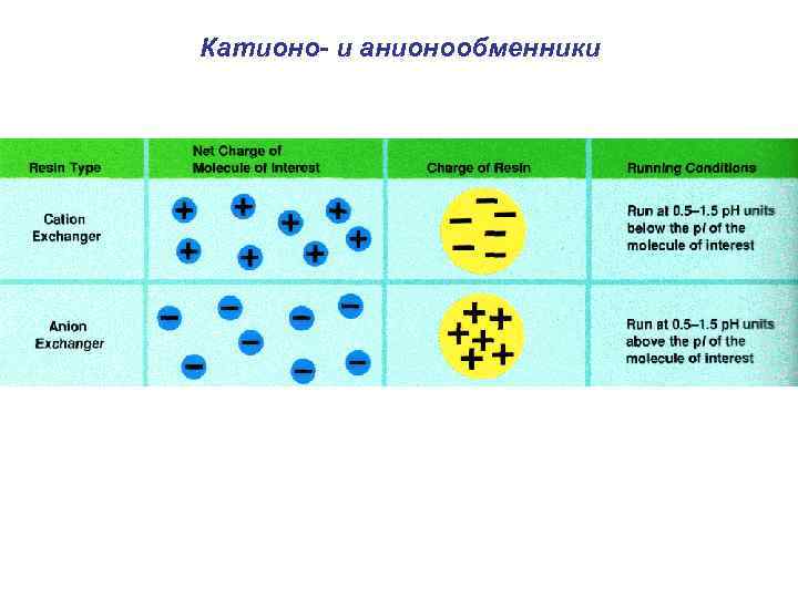 Катионо- и анионообменники 