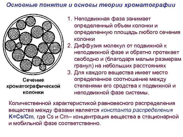 Основные понятия и основы теории хроматографии Сечение хроматографической колонки 1. Неподвижная фаза занимает определенный