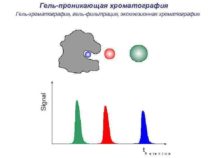 Гель проникающая хроматография презентация