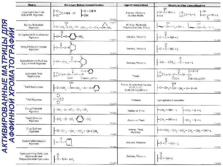 АКТИВИРОВАННЫЕ МАТРИЦЫ ДЛЯ АФФИННОЙ ХРОМАТОГРАФИИ 