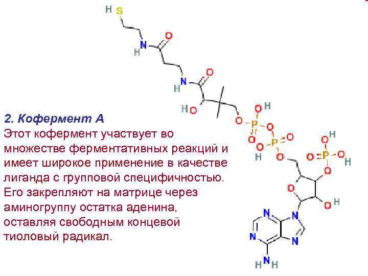 2. Кофермент А Этот кофермент участвует во множестве ферментативных реакций и имеет широкое применение