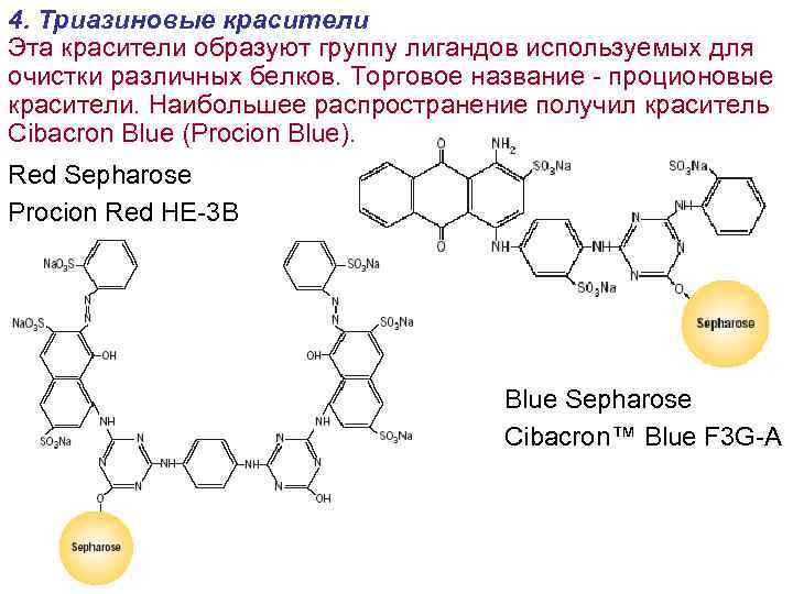4. Триазиновые красители Эта красители образуют группу лигандов используемых для очистки различных белков. Торговое