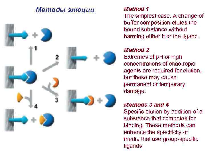 Методы элюции Method 1 The simplest case. A change of buffer composition elutes the