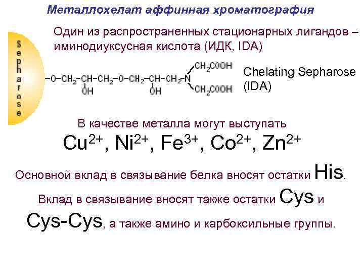 Металлохелат аффинная хроматография Один из распространенных стационарных лигандов – иминодиуксусная кислота (ИДК, IDA) Chelating