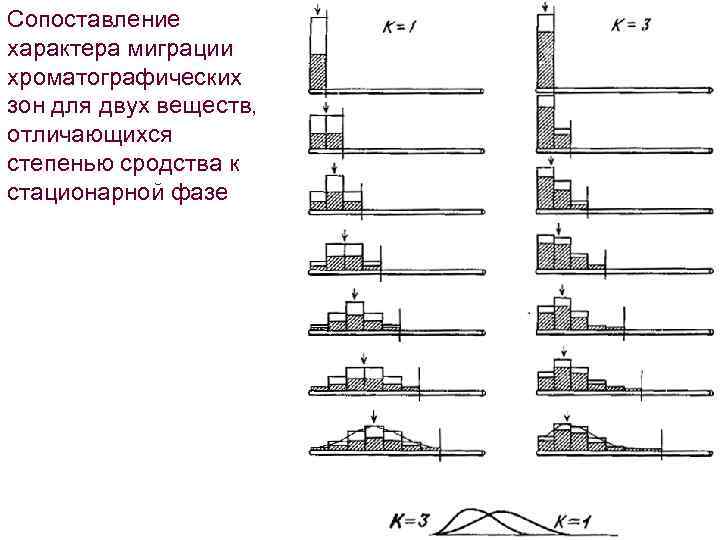 Сопоставление характера миграции хроматографических зон для двух веществ, отличающихся степенью сродства к стационарной фазе