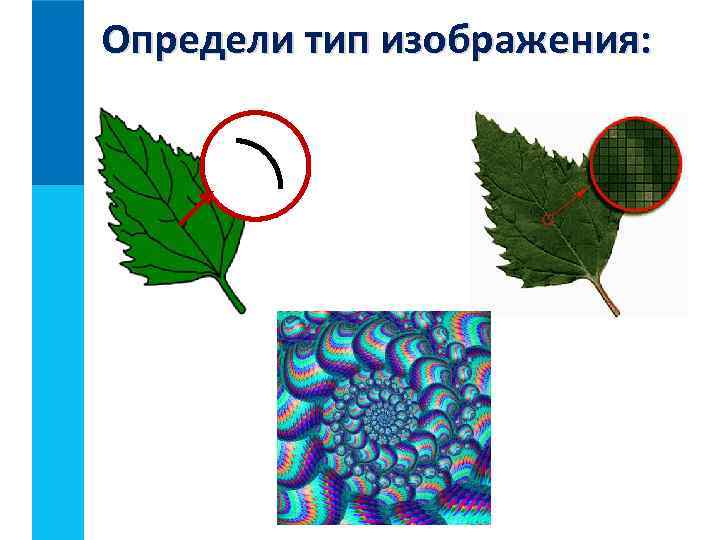 Определи тип изображения: 