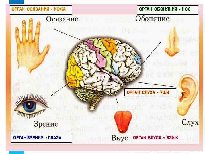 Небо плачет мелкими слезинками, Хлопнул зонтик в девичьей руке, Капли тают маленькими льдинками, Медленно