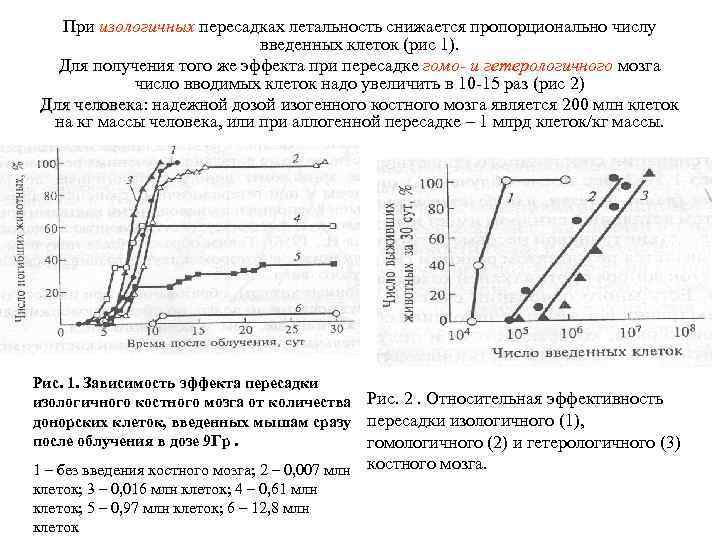 При изологичных пересадках летальность снижается пропорционально числу введенных клеток (рис 1). Для получения того