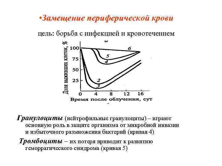  • Замещение периферической крови цель: борьба с инфекцией и кровотечением Гранулоциты (нейтрофильные гранулоциты)