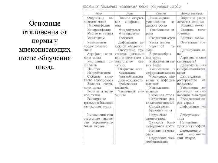 Основные отклонения от нормы у млекопитающих после облучения плода 