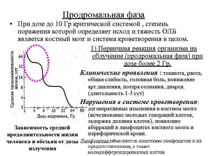 Продромальная фаза • При дозе до 10 Гр критической системой , степень поражения которой