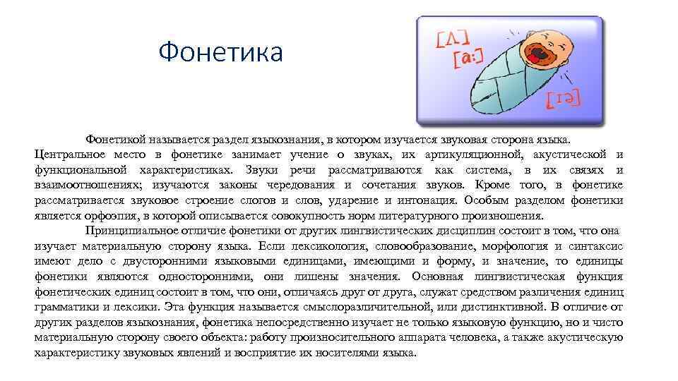 Фонетика Фонетикой называется раздел языкознания, в котором изучается звуковая сторона языка. Центральное место в