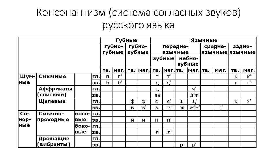 Консонантизм (система согласных звуков) русского языка 
