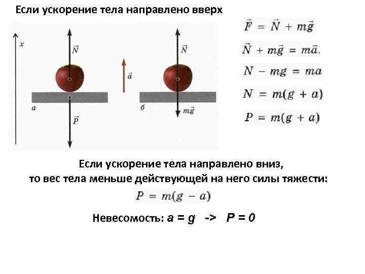 Два тела разной массы. Вес тела если ускорение вверх. Если ускорение направлено вверх. Если ускорение направлено вверх вес тела. Если ускорение тела направлено вниз.