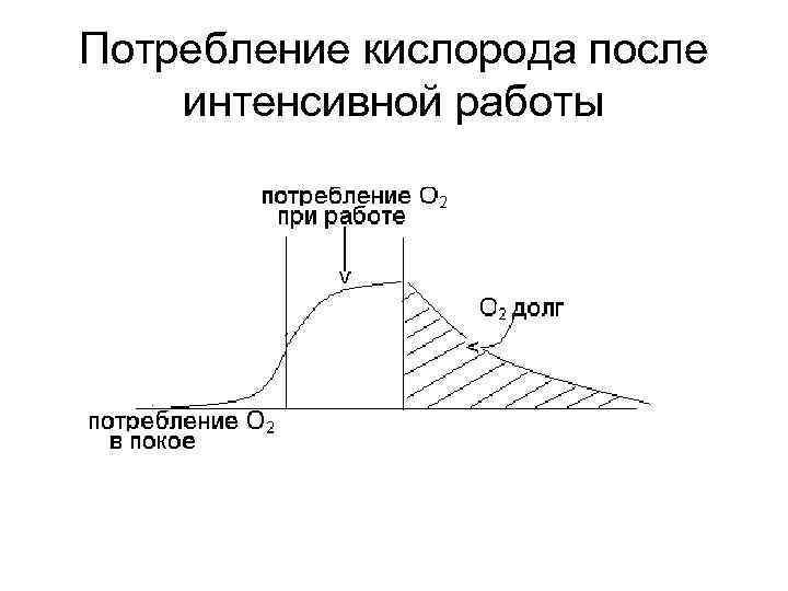 Потребление кислорода после интенсивной работы 