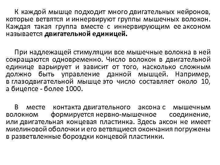 К каждой мышце подходит много двигательных нейронов, которые ветвятся и иннервируют группы мышечных волокон.