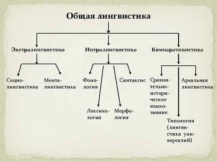 Общая лингвистика Экстралингвистика Социолингвистика Менталингвистика Интралингвистика Компаративистика Синтаксис Сравни. Ареальная тельнолингвистика историческое языко. Лексико-