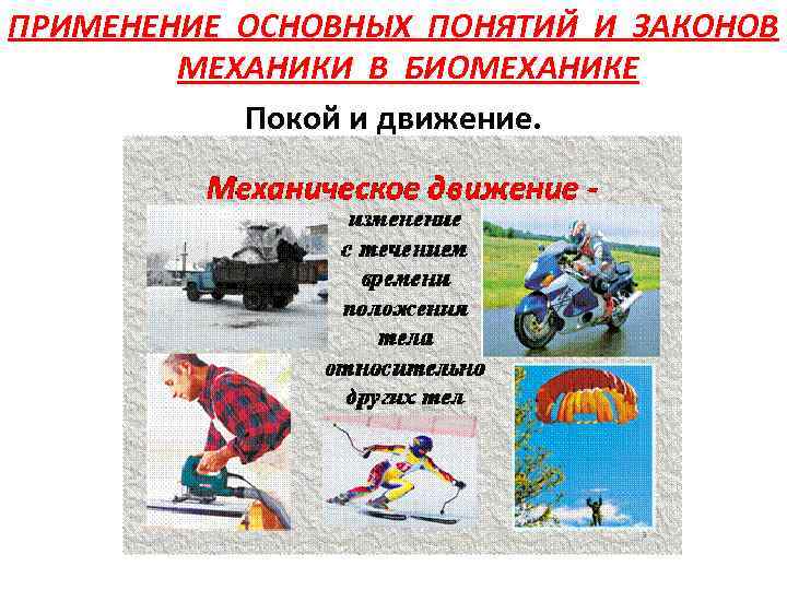 ПРИМЕНЕНИЕ ОСНОВНЫХ ПОНЯТИЙ И ЗАКОНОВ МЕХАНИКИ В БИОМЕХАНИКЕ Покой и движение. 