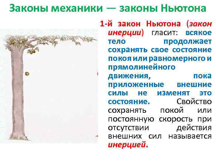 Законы механики — законы Ньютона 1 -й закон Ньютона (закон инерции) гласит: всякое тело