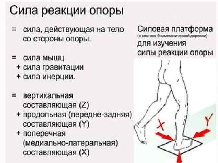 Биомеханика в медицине картинки