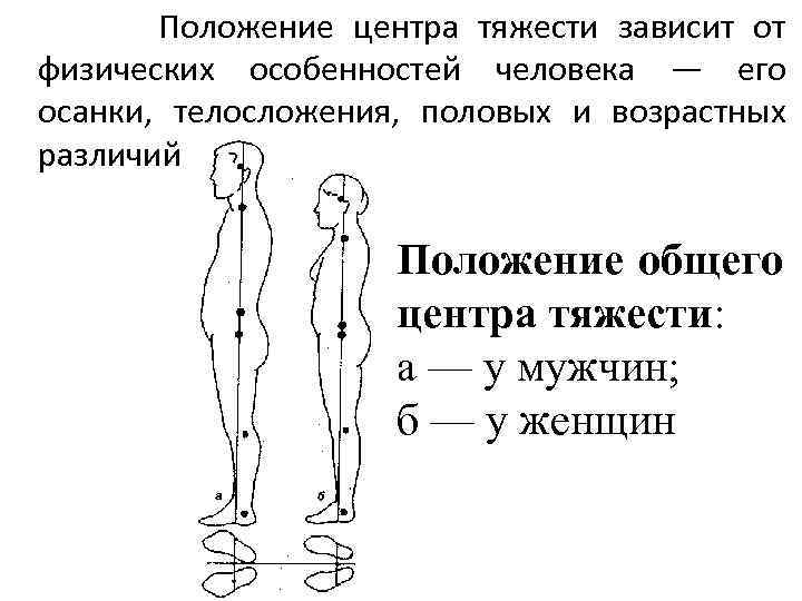 Положение центра тяжести зависит от физических особенностей человека — его осанки, телосложения, половых и