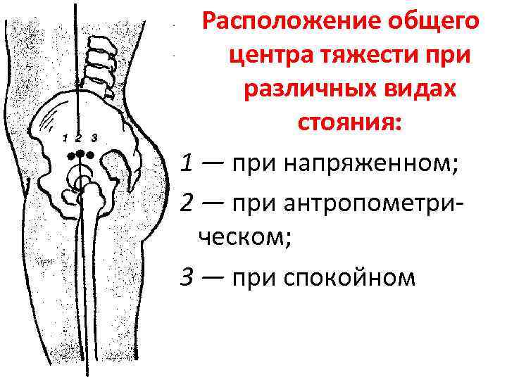 Расположение центра тяжести