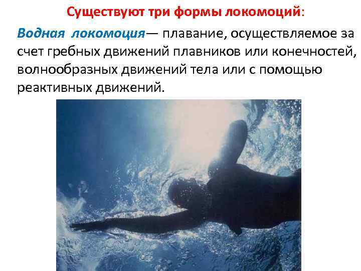 Существуют три формы локомоций: Водная локомоция— плавание, осуществляемое за счет гребных движений плавников или